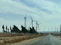 von welcher Seite bläst der Wind ??