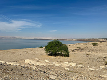 Das tote Meer